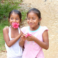 P1000443.JPG